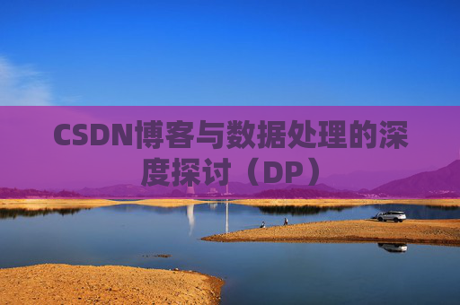 CSDN博客与数据处理的深度探讨（DP）